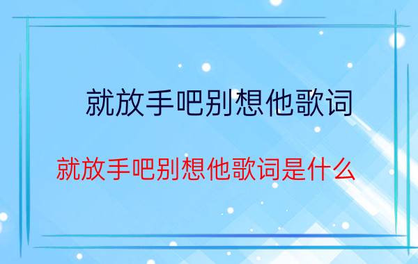 就放手吧别想他歌词 就放手吧别想他歌词是什么